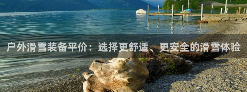 新宝 gg .com