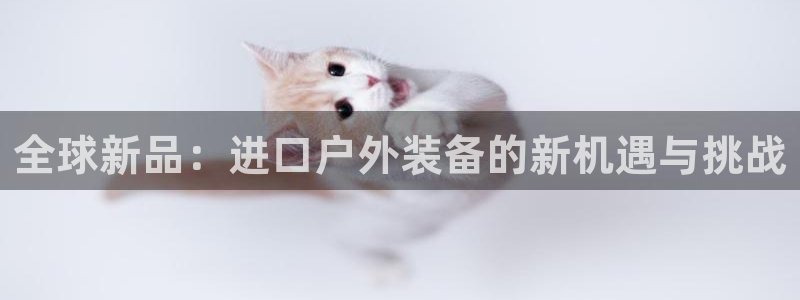 新宝gg建立团队