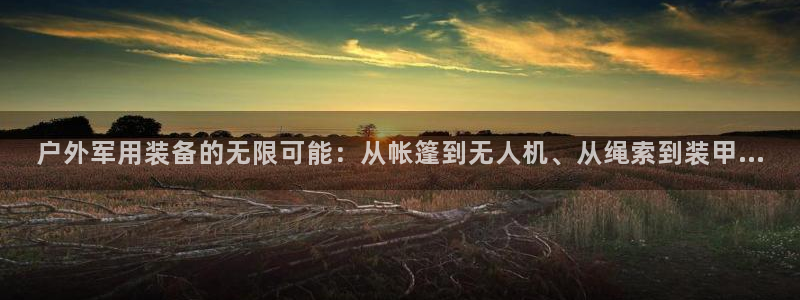 新宝GG创业奇迹