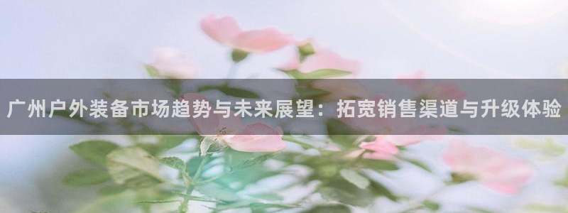 新宝gg代理条件