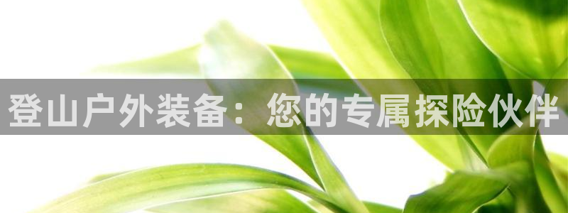 新宝gg官方主管