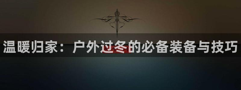 新宝gg公司