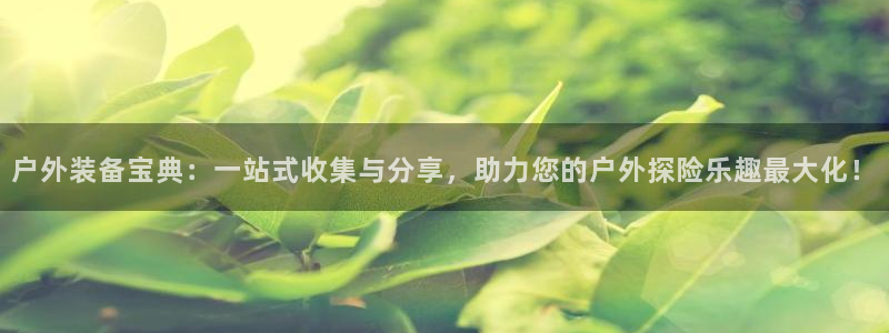 新宝gg — 创造!