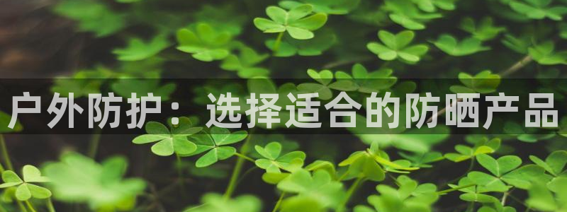 新宝gg分红