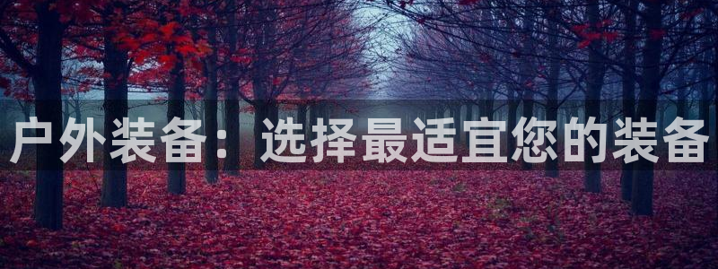 新宝gg开奖