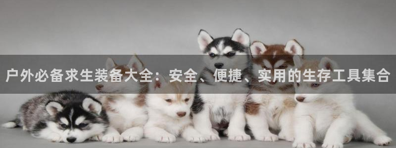 新宝GG亚洲