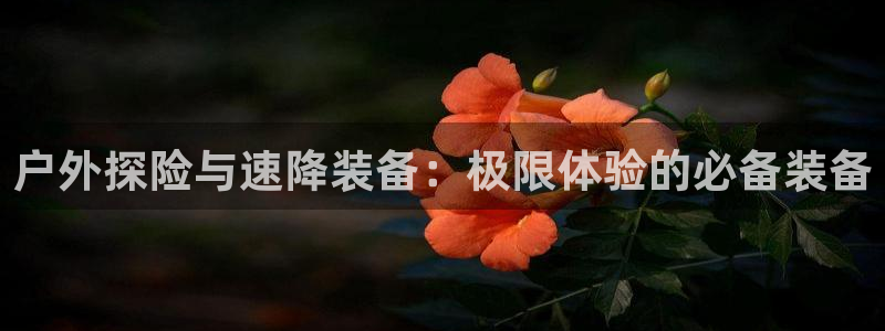新宝gg会员