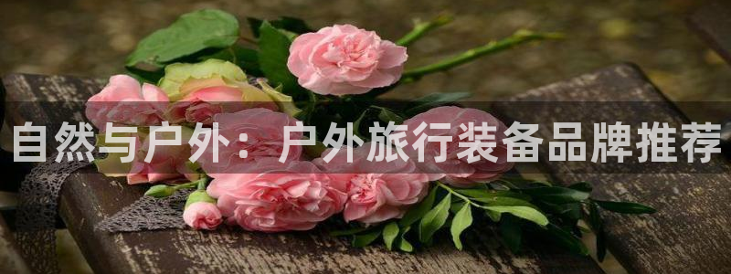 重庆新宝gg