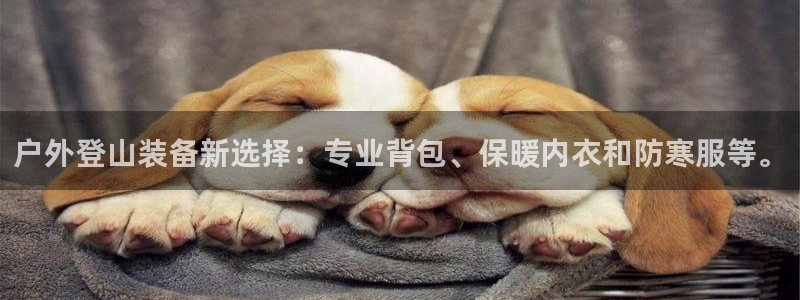 创造奇迹新宝gg