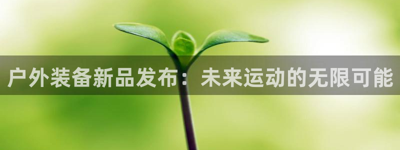 新宝GG电话