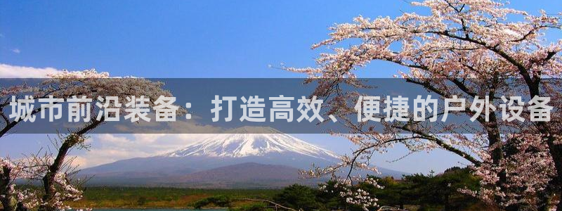 谁有新宝GG