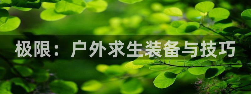 新宝奇迹GG5