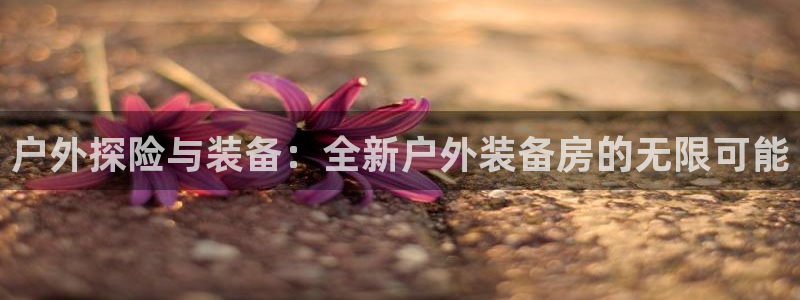 l新宝gg