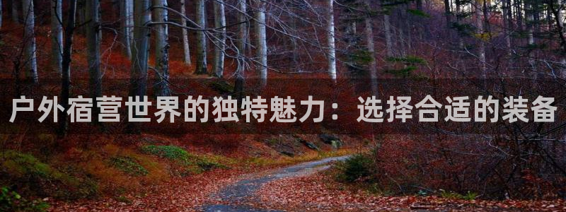新宝gg__