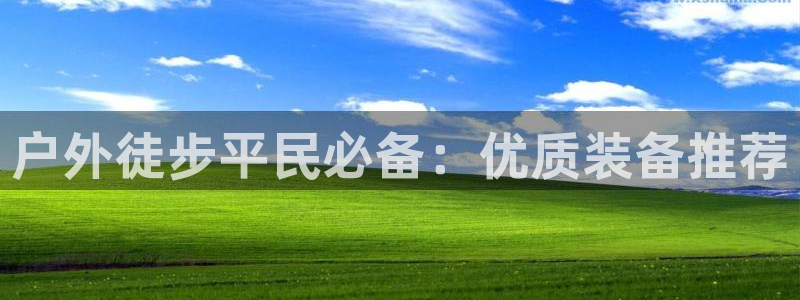 新宝gg__