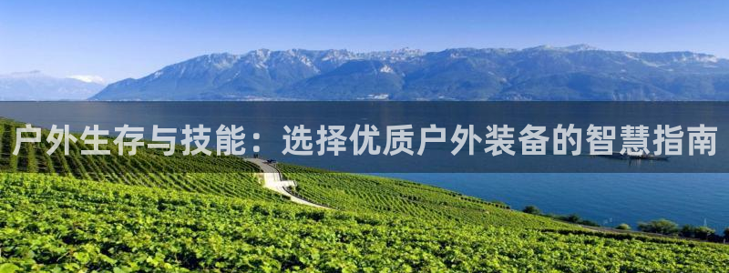 新宝gg招商致胜团队