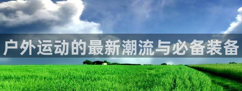 新宝gg 黑