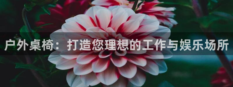 新宝gg画