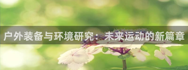 新宝gg总代理