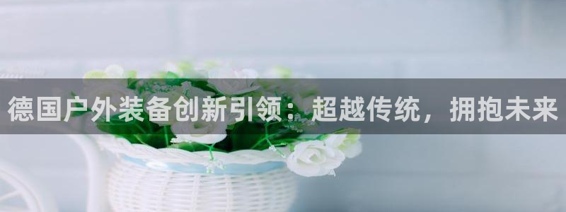 怎么下载新宝gg