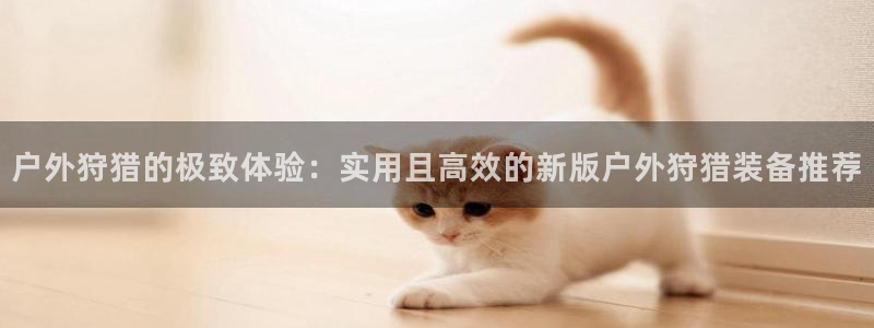新宝gg软件下载