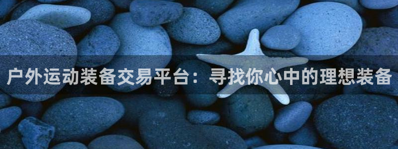 新宝gg样