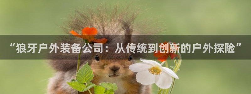 新宝gg龙虎规则