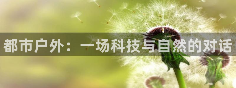 新宝gg官方主管