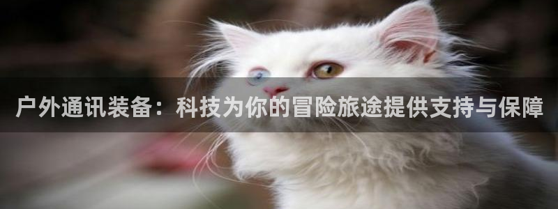 新宝六与新宝gg