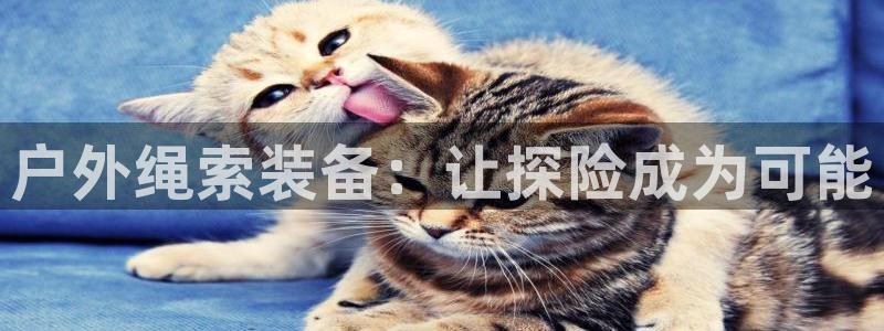 新宝gg龙虎规则