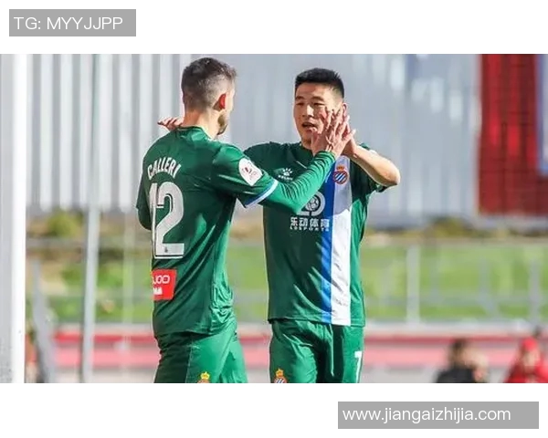 冰岛与加纳角球对决分析及比赛精彩瞬间回顾